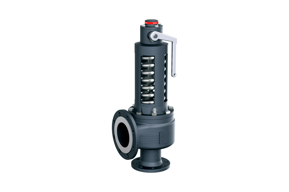DN25 Goetze 355sGL-25-FL/FL-25/40 A02-Goetze Safety Valve